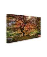 Moises Levy 'The Tree Horizontal' Canvas Art - 12" x 19"