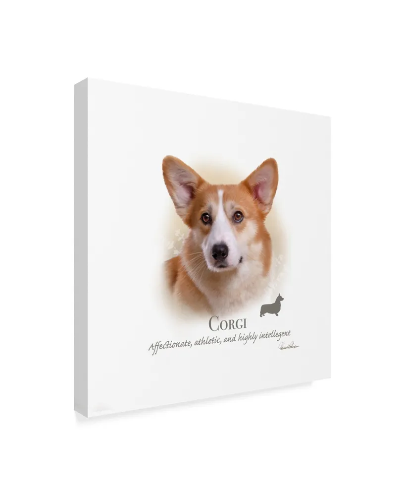 Howard Robinson 'Corgi' Canvas Art