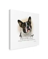 Howard Robinson 'French Bulldog' Canvas Art - 14" x 14"