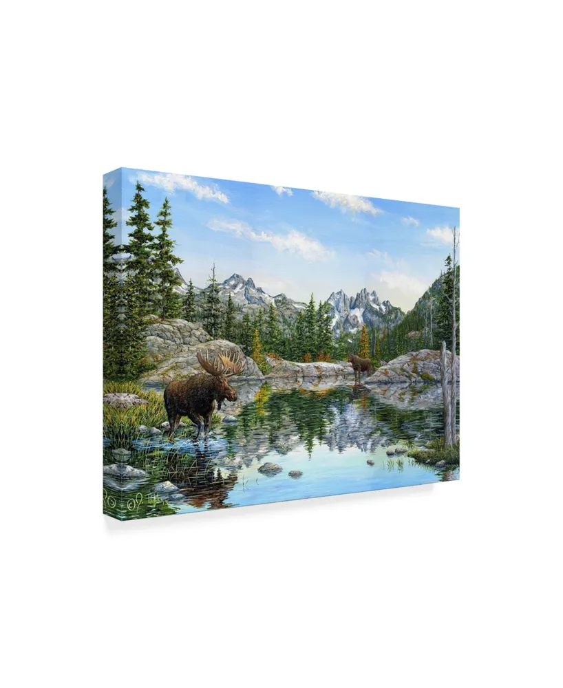 Jeff Tift 'Moose' Canvas Art - 24" x 32"
