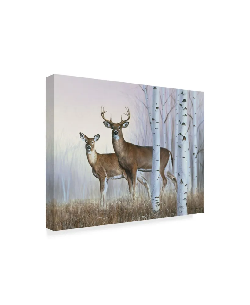 Rusty Frentner 'Deer In Birch Woods' Canvas Art