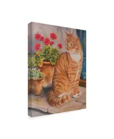 Janet Pidoux 'Ginger Cat On Doorstep' Canvas Art - 24" x 32"