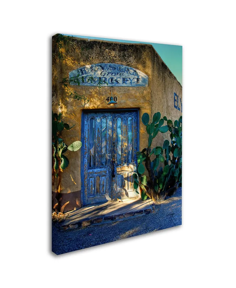 Lois Bryan 'Elysian Grove Market' Canvas Art - 32" x 22"