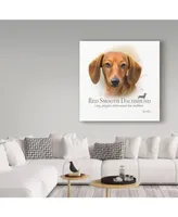 Howard Robinson 'Red Smooth Dachshund' Canvas Art - 18" x 18"