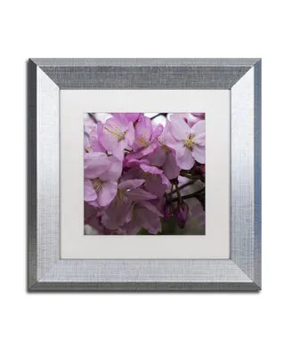 Kurt Shaffer 'Cherry Blossom Cluster' Matted Framed Art - 11" x 11"