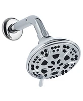 AquaDance High Pressure 6-Setting Shower Head