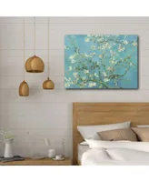 Courtside Market Van Gogh Cherry Blossoms Gallery Wrapped Canvas Wall Art Collection