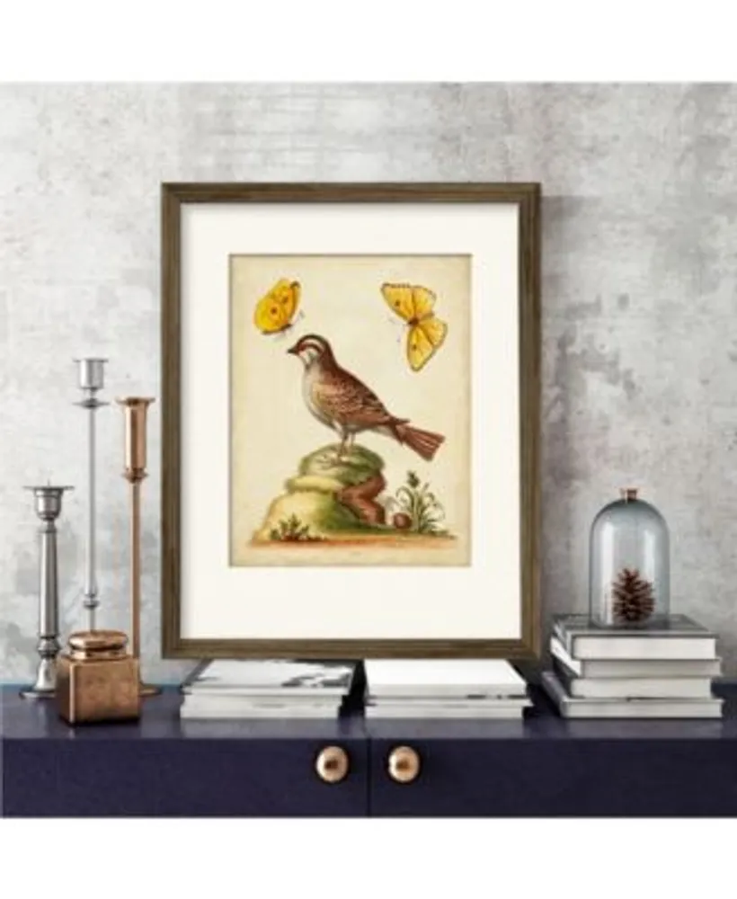 Courtside Market Natural Habitat Iv Framed Matted Art Collection