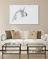 Empire Art Direct 'Blanco Mare Horse' Frameless Free Floating Tempered Glass Panel Graphic Wall Art - 48" x 32''