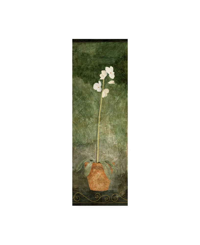 Pablo Esteban White Orchid in Pot on Green Canvas Art - 15.5" x 21"