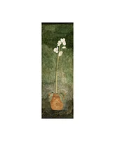 Pablo Esteban White Orchid in Pot on Green Canvas Art - 15.5" x 21"