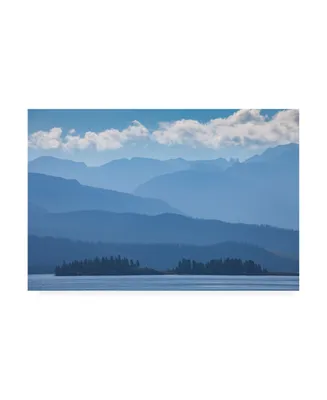 Darren White Photography Layers of Blue Canvas Art