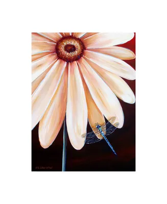 Deborah Broughton Flower Gerbera dragonfly Canvas Art