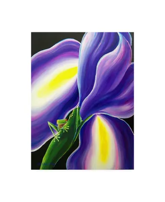 Deborah Broughton Frog Iris frog Canvas Art - 27" x 33.5"