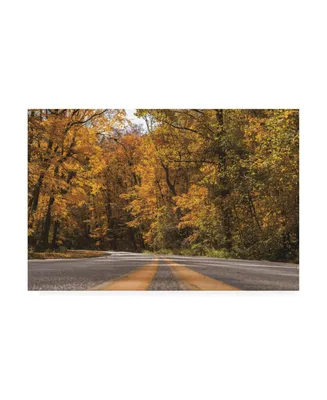 Kurt Shaffer Photographs Drive through Autumn Canvas Art