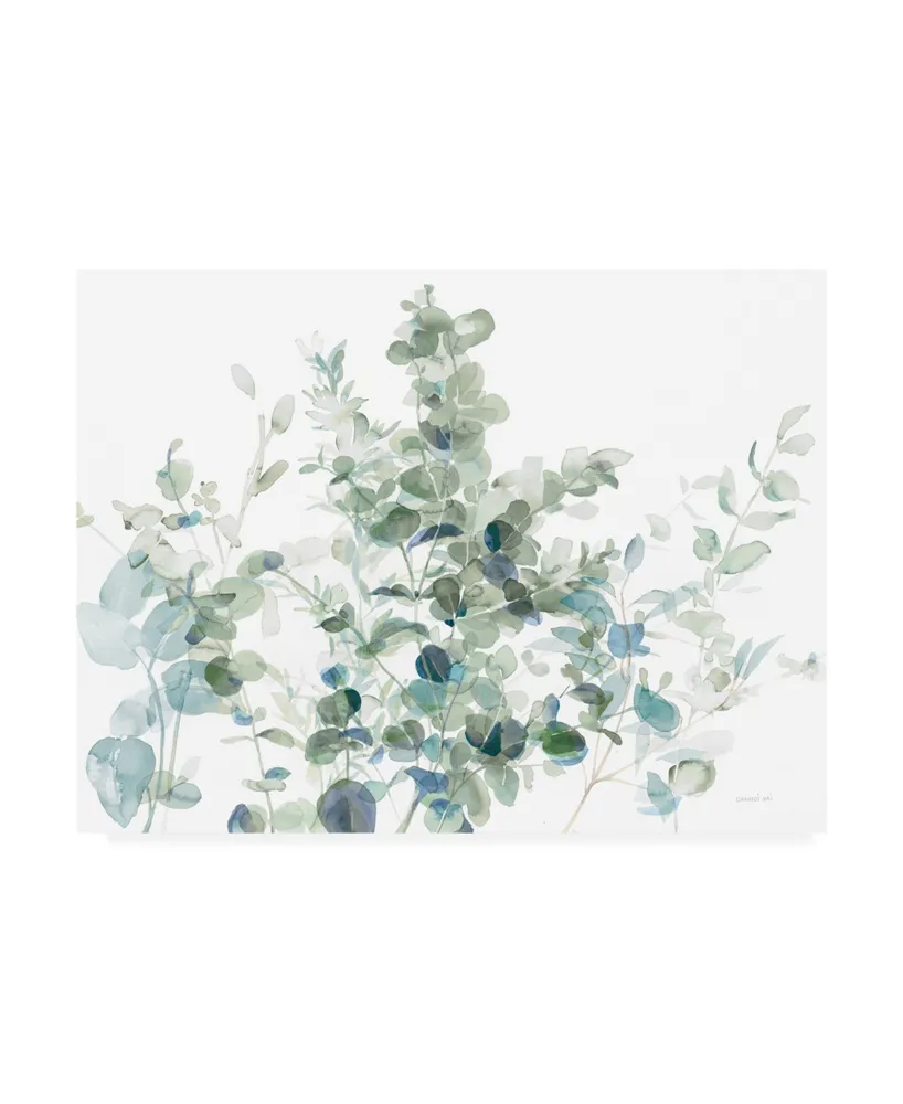 Danhui Nai Eucalyptus I Cool Canvas Art