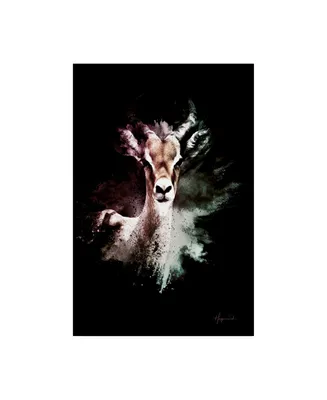 Philippe Hugonnard Wild Explosion Collection - the Antelope Canvas Art