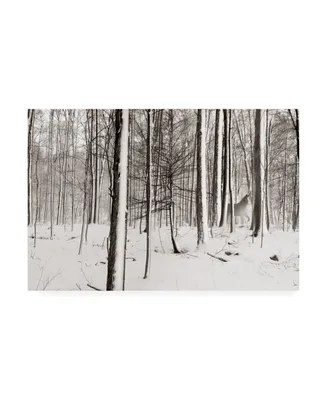 James Mcloughlin A Snowy Walk I Canvas Art