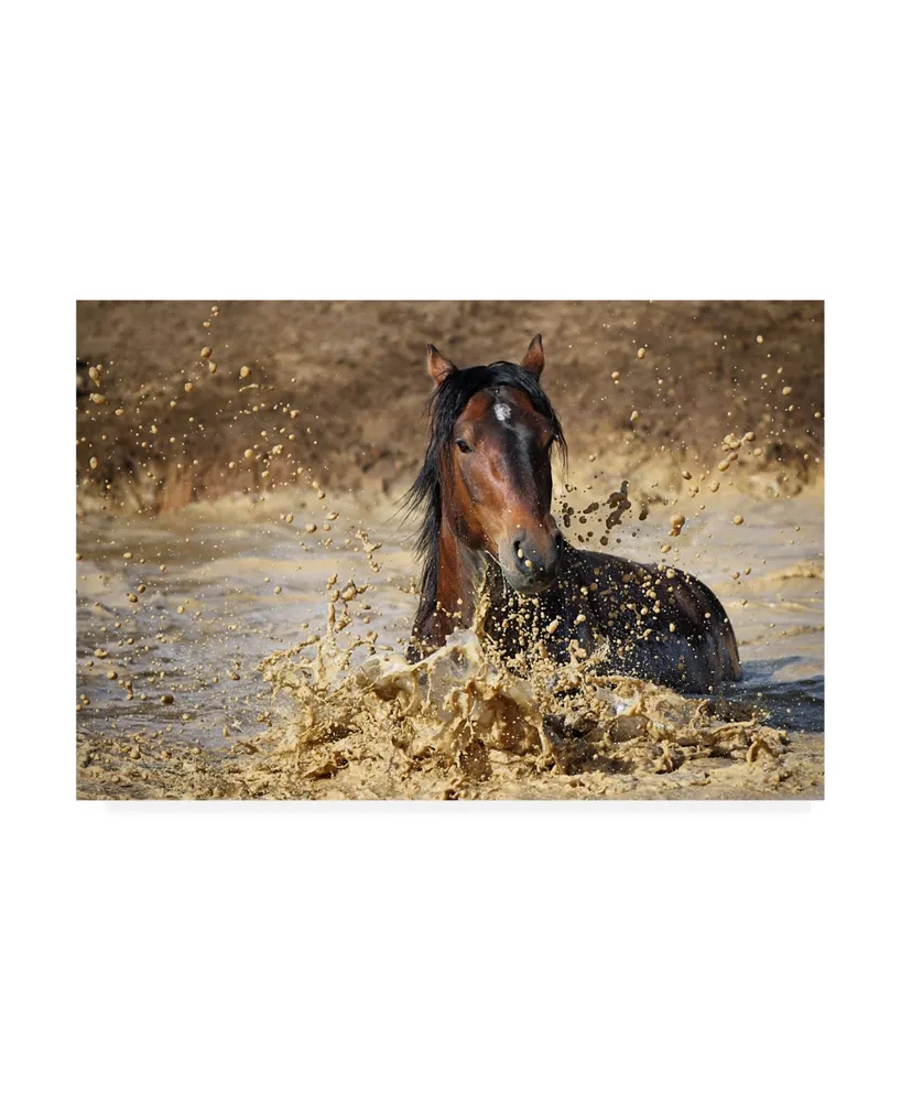 Vedran Vidak Horse in Water Canvas Art