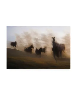Milan Malovrh Blurred Horses Canvas Art