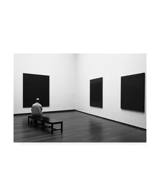 Art Lionse Enjoying Rothko Canvas Art