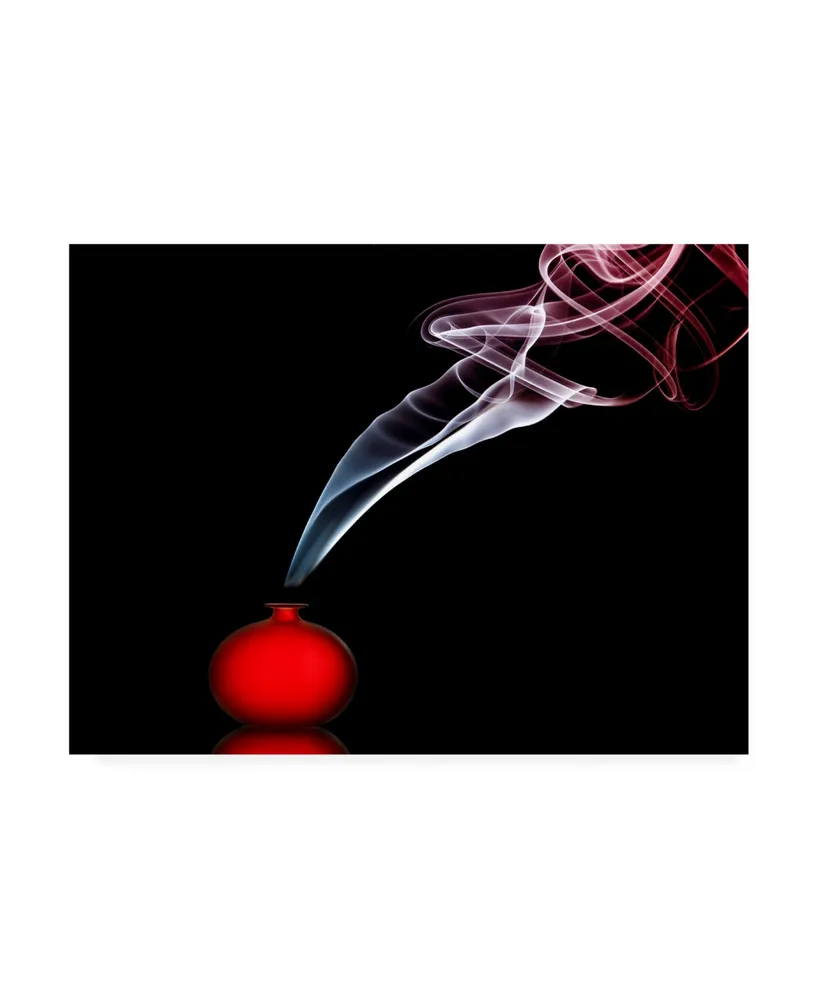 Renee Doyle Smokin in Red Canvas Art