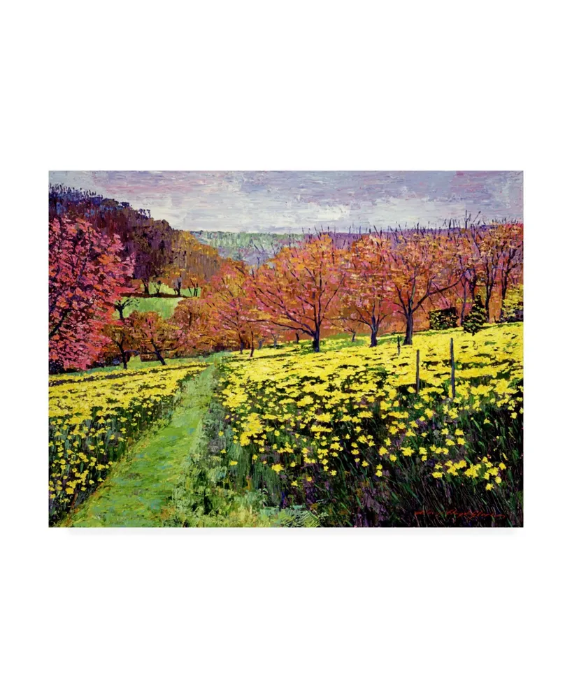 David Lloyd Glover Fields of Golden Daffodils Canvas Art