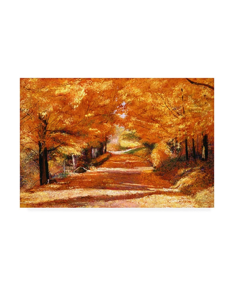 David Lloyd Glover The Yellow Leaf Road Canvas Art - 20" x 25"