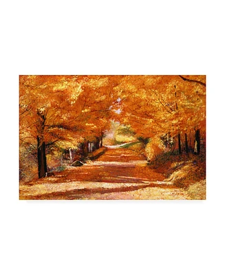 David Lloyd Glover The Yellow Leaf Road Canvas Art - 20" x 25"