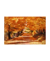 David Lloyd Glover The Yellow Leaf Road Canvas Art - 20" x 25"