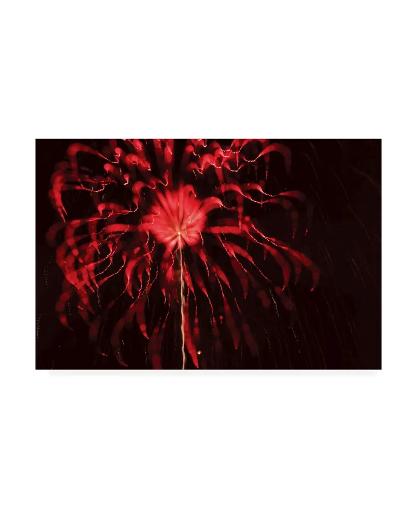 Kurt Shaffer Abstract Fireworks in Red Canvas Art