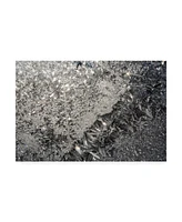 Kurt Shaffer Crystal Window Canvas Art - 20" x 25"
