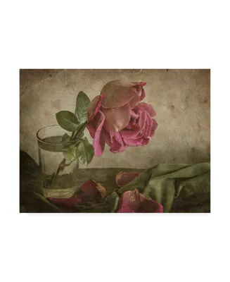 Igor Tokarev Tear of Rose Canvas Art
