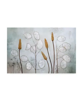 Mandy Disher Lunaria Canvas Art