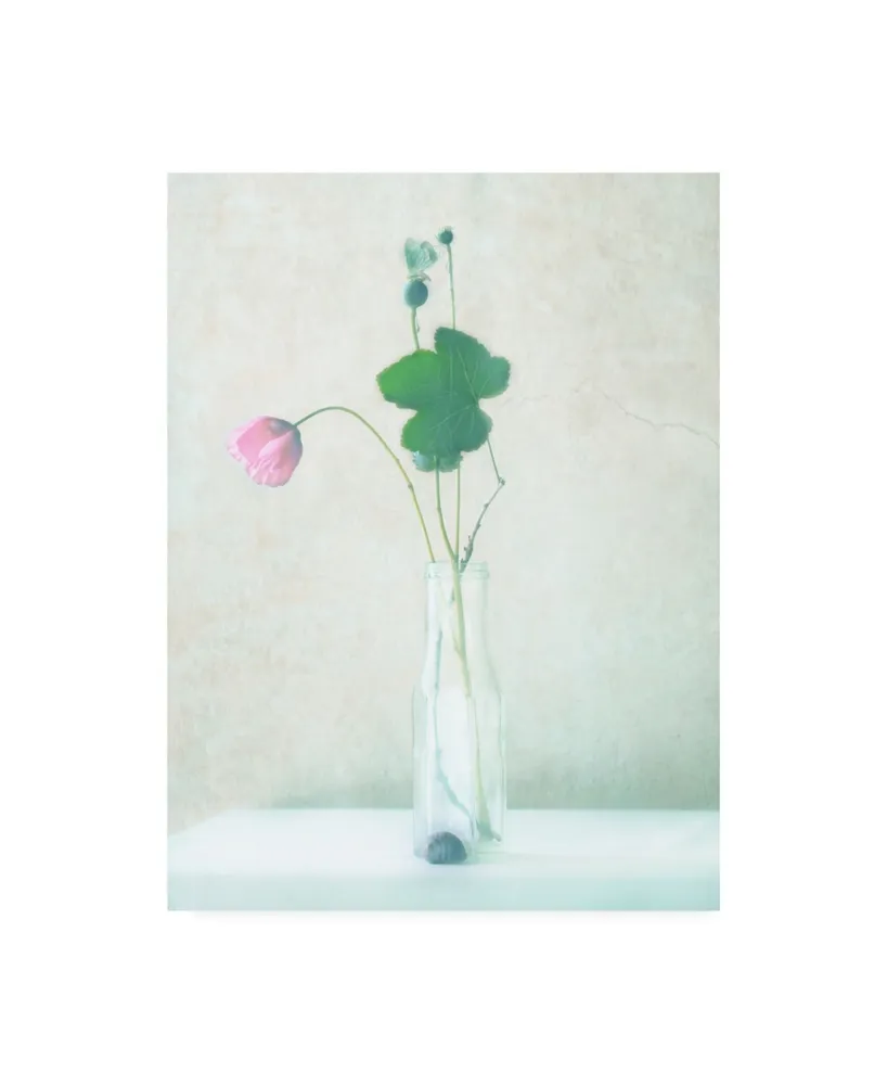 Delphine Devos The Pink Flower Canvas Art