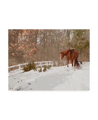 Monte Nagler Horse in the Snow Milford Michigan Canvas Art