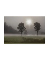 Monte Nagler Two Trees and Sunburst Logan Ohio Canvas Art