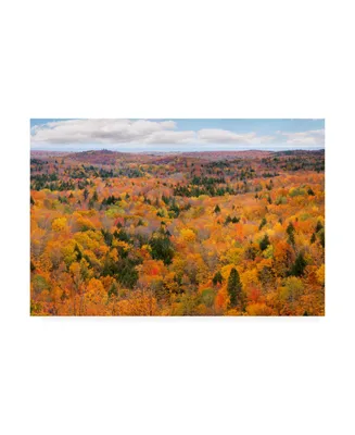 Monte Nagler Autumn Palette Marquette Michigan Color Canvas Art