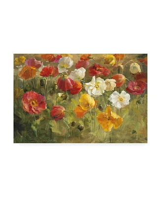 Danhui Nai Poppy Field Painting Canvas Art