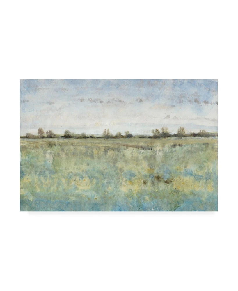 Tim Otoole Grazing Land Iii Canvas Art - 36.5" x 48"