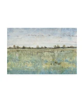 Tim Otoole Grazing Land Iii Canvas Art - 36.5" x 48"