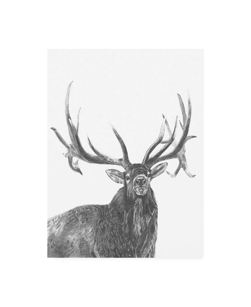 Naomi McCavitt Wildlife Snapshot Elk Canvas Art - 19.5" x 26"