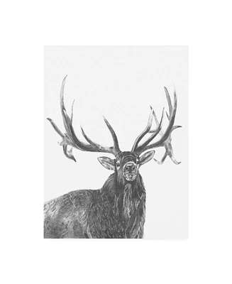 Naomi McCavitt Wildlife Snapshot Elk Canvas Art - 19.5" x 26"