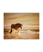 Ph Burchett Sunkissed Horses V Canvas Art - 36.5" x 48"