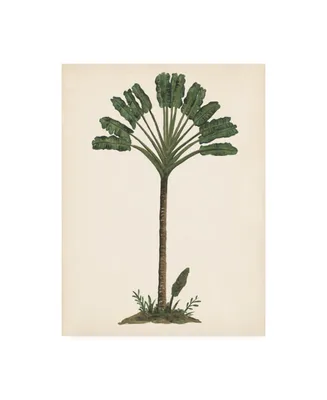 Melissa Wang Palm Tree Study I Canvas Art - 36.5" x 48"