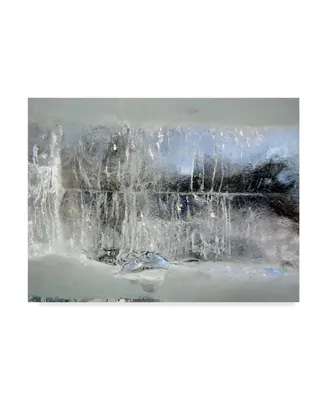 Andre Pelletier Fairy Winter Canvas Art