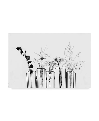 1X Prints Black Flowers on White Background Canvas Art - 37" x 49"