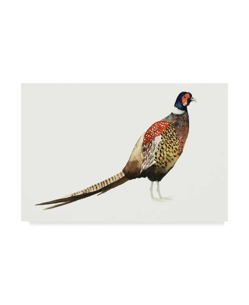 Grace Popp Watercolor Pheasant I Canvas Art