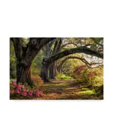 Danny Head Under the Live Oaks I Canvas Art