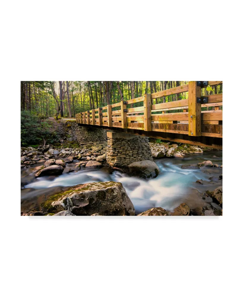 Danny Head Bridge and Cascade Ii Canvas Art